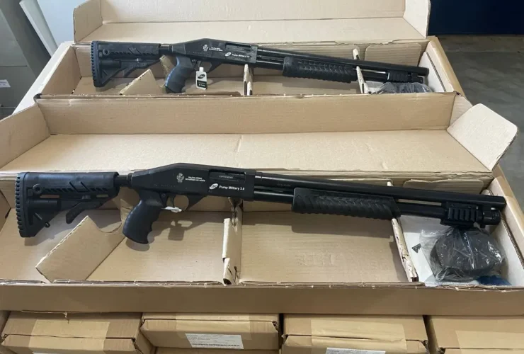 Armas de fogo 12