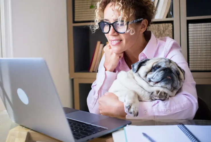comprar produtos pet pela internet