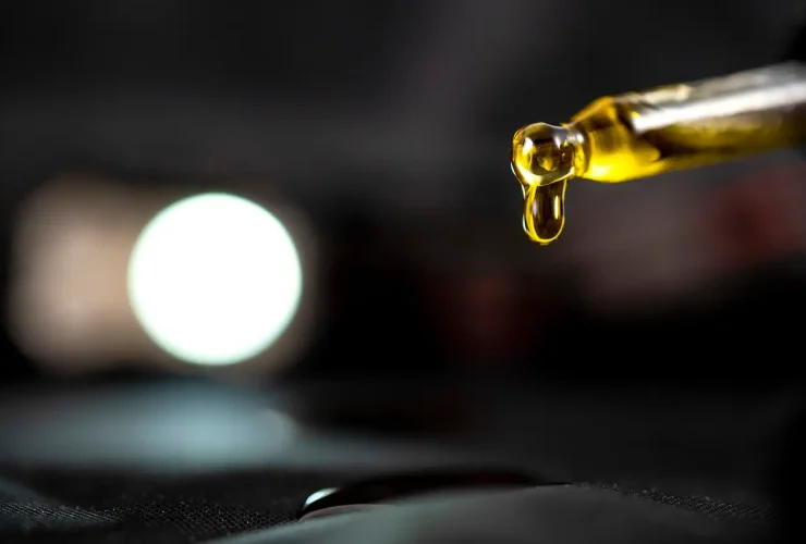 O que é Jeeters Juice e Por Que é Tão Procurado? Jeeters Juice é um produto amplamente reconhecido no universo dos vaporizadores e cartuchos de cannabis. Conhecido por sua alta qualidade, sabores únicos e potência, é fabricado com extratos de cannabis premium. Cada cartucho é projetado para oferecer uma experiência suave e consistente, tornando-se uma escolha popular entre os entusiastas de cannabis medicinal e recreativa. A demanda crescente se dá pela combinação de tecnologia de ponta e um mercado que busca produtos confiáveis e seguros. Jeeters Juice: Um Guia Rápido para Comprar com Confiança Se você está procurando onde e como comprar Jeeters Juice, o mais importante é garantir a procedência e a segurança do produto. Verifique sempre se o fornecedor é licenciado, consulte avaliações de outros compradores e certifique-se de que o site ou loja segue as regulamentações locais. Dessa forma, você reduz os riscos de adquirir um produto falsificado ou de qualidade inferior. Por que Comprar Jeeters Juice? Qualidade Garantida: Os cartuchos Jeeters Juice são conhecidos por sua pureza e por não conterem aditivos prejudiciais. Variedade de Sabores: Disponível em uma ampla gama de sabores, atendendo a diferentes preferências. Segurança: Fabricado com extratos testados em laboratórios certificados, garantindo a ausência de contaminantes. Potência: Alta concentração de THC ou CBD (dependendo da variante escolhida), ideal para fins medicinais ou recreativos. Onde Comprar Jeeters Juice? A aquisição de Jeeters Juice deve ser feita apenas em lojas confiáveis e autorizadas. Confira algumas opções seguras: Dispensários Licenciados: Nos estados ou países onde o uso de cannabis é regulamentado, dispensários são a opção mais segura. Sites Oficiais ou Parceiros: Muitos fabricantes têm lojas virtuais ou parceiros de distribuição confiáveis. Marketplaces Autorizados: Certifique-se de que o vendedor segue as políticas e regulamentações locais. Dicas para Evitar Golpes Pesquise Antes de Comprar: Leia avaliações e pesquise sobre o vendedor. Verifique a Embalagem: Produtos autênticos têm selos de segurança e informações claras. Evite Preços Muito Baixos: Se o preço parece bom demais para ser verdade, provavelmente não é um produto original. Como Escolher o Jeeters Juice Ideal A escolha do cartucho depende de suas necessidades e preferências. Aqui estão algumas dicas: Propósito: Se busca efeitos terapêuticos, escolha variantes com maior concentração de CBD. Para fins recreativos, opte por cartuchos ricos em THC. Sabor: Experimente sabores diferentes para descobrir o que mais combina com você. Compatibilidade: Certifique-se de que o cartucho é compatível com seu dispositivo. Regulamentação e Legalidade Antes de comprar, é essencial entender as leis locais sobre o uso de cannabis. Em muitos países, o consumo é permitido apenas para fins medicinais ou em ambientes regulamentados. Não tente importar produtos sem verificar as políticas alfandegárias e legais de sua região. Perguntas Frequentes Jeeters Juice é legal no Brasil? No Brasil, a cannabis e seus derivados são regulamentados apenas para fins medicinais mediante prescrição. Quanto custa um cartucho Jeeters Juice? O preço varia conforme a localização, fornecedor e tipo de produto, mas geralmente está na faixa de US$ 30 a US$ 60. É seguro comprar online? Sim, desde que a compra seja feita em sites confiáveis e licenciados. Conclusão Jeeters Juice é uma escolha incrível para quem busca uma experiência de alta qualidade com vaporizadores de cannabis. No entanto, garantir a segurança e autenticidade do produto é essencial. Pesquise bem, compre de fontes confiáveis e respeite as leis locais para desfrutar ao máximo dessa experiência. Com informações claras e dicas práticas, você está pronto para adquirir Jeeters Juice com segurança e confiança.